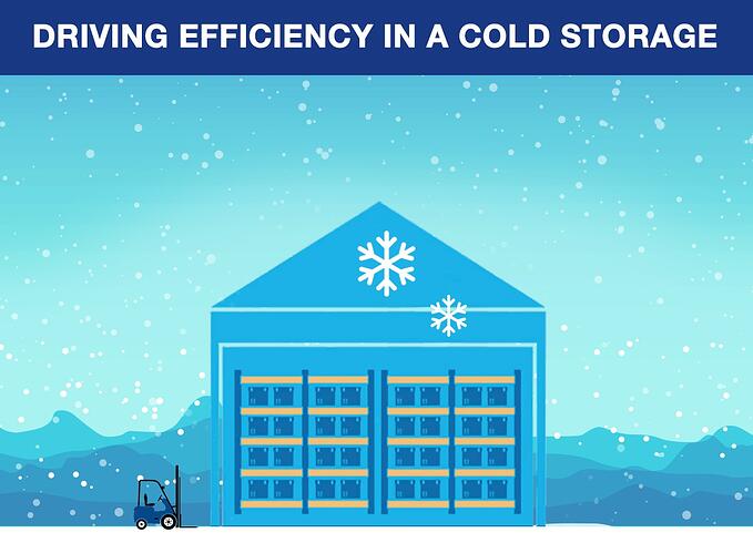 Read more about the article Driving Efficiency in a Cold Storage